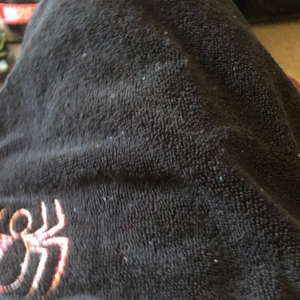 Black Spider Embroidered Beanie - Red Accent